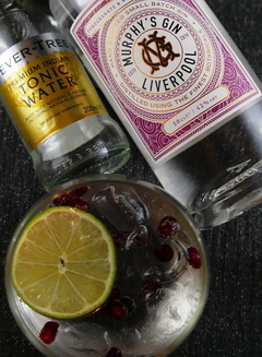 Pomegranate Gin with Fevertree Tonic